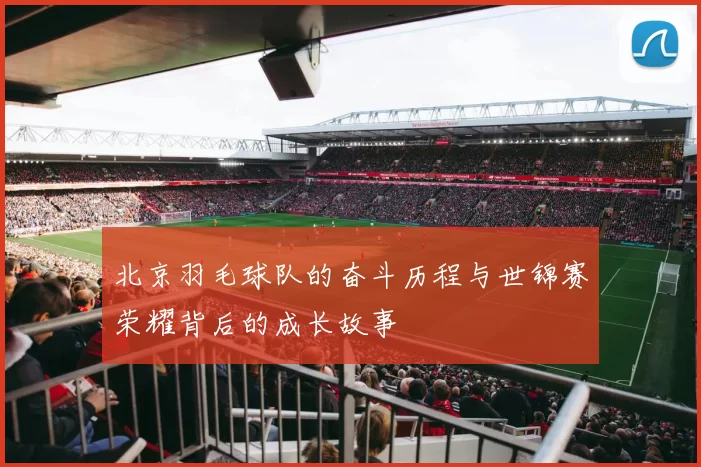 北京羽毛球队的奋斗历程与世锦赛荣耀背后的成长故事