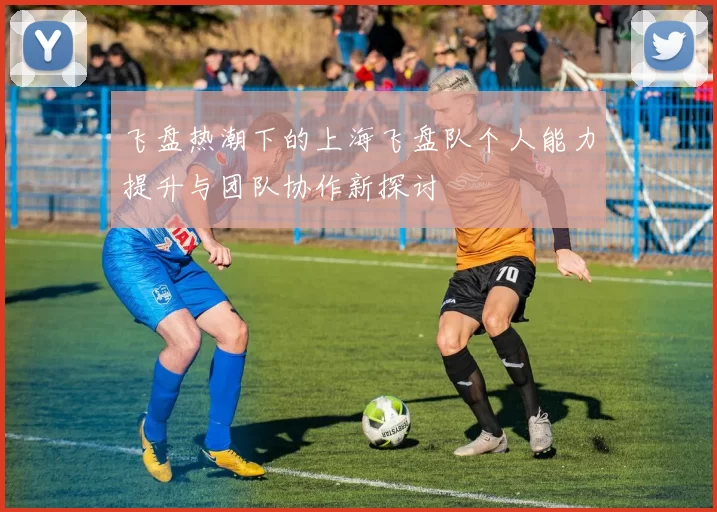 飞盘热潮下的上海飞盘队个人能力提升与团队协作新探讨