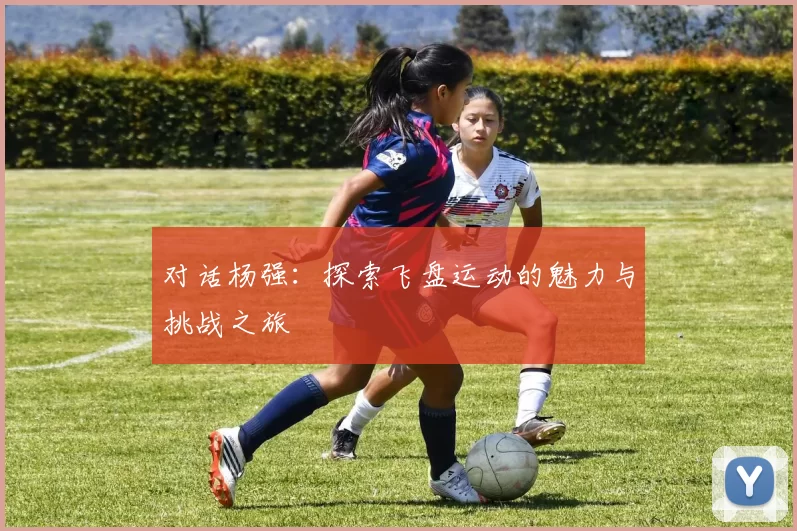 对话杨强：探索飞盘运动的魅力与挑战之旅