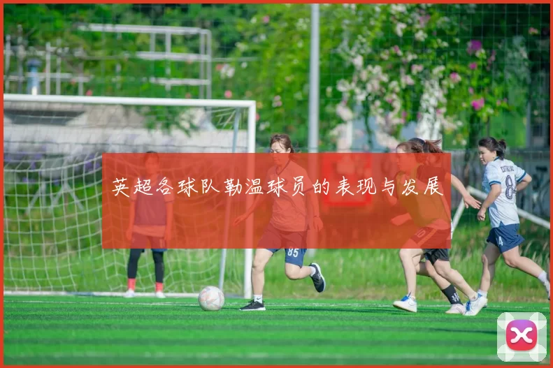 英超各球队勒温球员的表现与发展